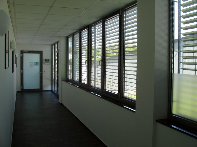 Holz-Alu-Fenster innenseitig